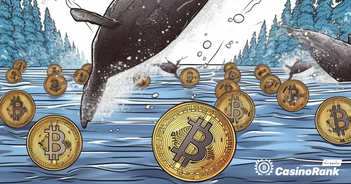 Movimientos de ballenas en el mercado de criptomonedas: tokens MATIC y SOL transferidos